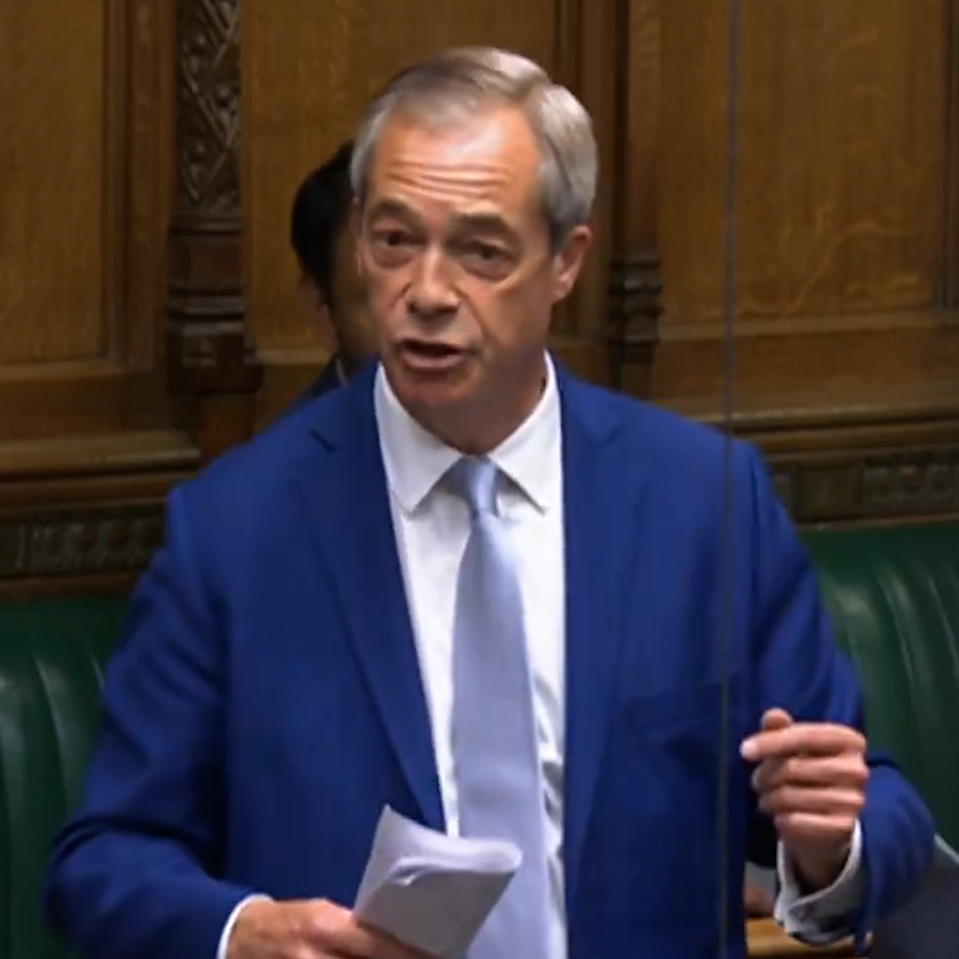 'I was described as a sad, lonely, desperate figure, always seeking attention', says Nigel Farage in his maiden speech to the Commons.