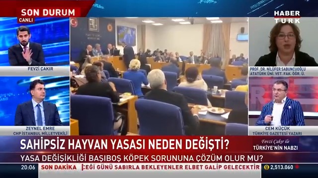 Sahipsiz hayvan yasası ne getirecek? Sahipsiz köpeklere ne olacak? Prof. Dr. Prof.Dr. Nilüfer Sabuncuoğlu #TürkiyeninNabzı'nda anlattı.