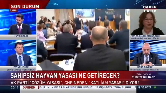Sahipsiz hayvan yasası Meclis komisyonundan nasıl geçti? Çözüm getirir mi getirmez mi? Bu kadar sahipsiz köpek ne olacak? Prof. Dr. Prof.Dr. Nilüfer Sabuncuoğlu #TürkiyeninNabzı'nda anlattı.