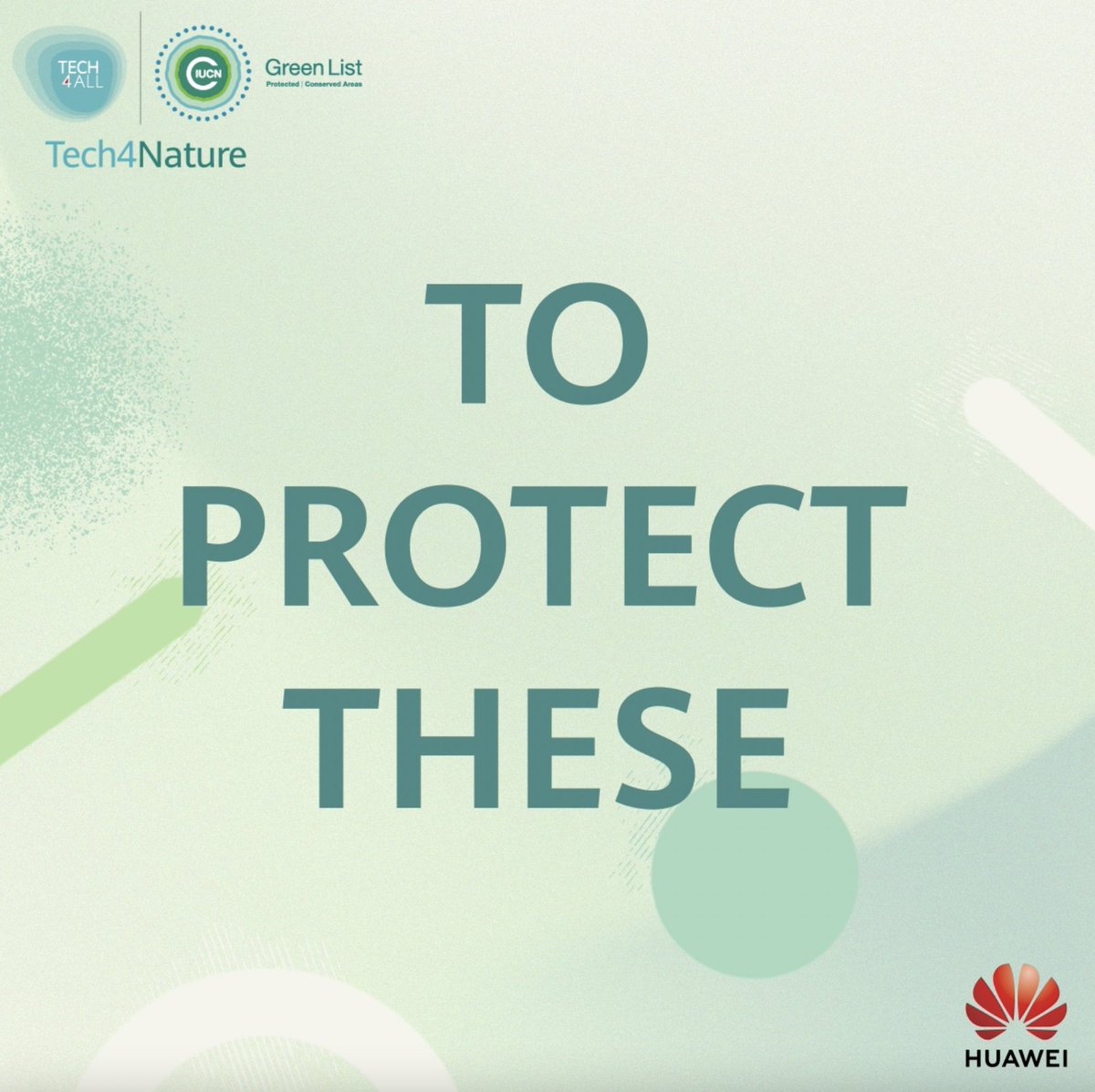 🌏🌿 On #WorldMangroveDay, let’s highlight the rapid loss of mangroves & efforts to protect them. Learn how the IUCN-#Huawei #Tech4Nature partnership is helping to safeguard endangered jaguars in Mexico, whose territory includes mangrove ecosystems 👉 #TECH4ALL C Minds Gobierno de Yucatán