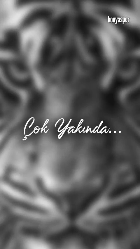 Coming soon!!! ⏳🔜
