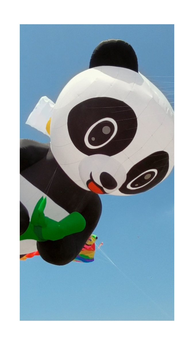 We know a thing or two about pandemonium. Starting August 8, you will too. See you soon 🐼