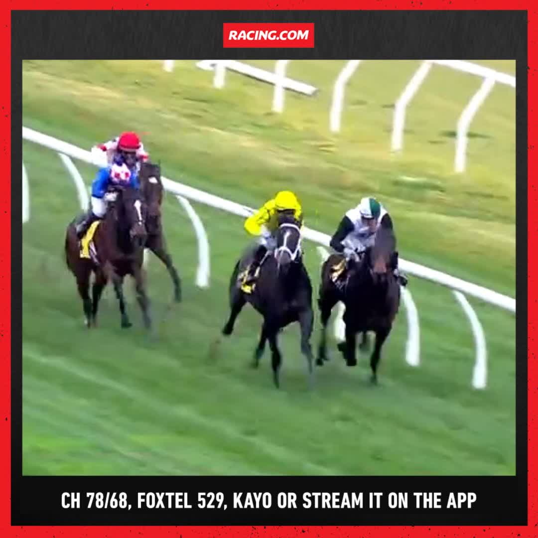 "She hasn't got much idea about it, but she's got a lot of class." I Am Velvet did plenty wrong but proved too slick for Dom in the VOBIS Gold Ingot 💰 Phillip Stokes Racing