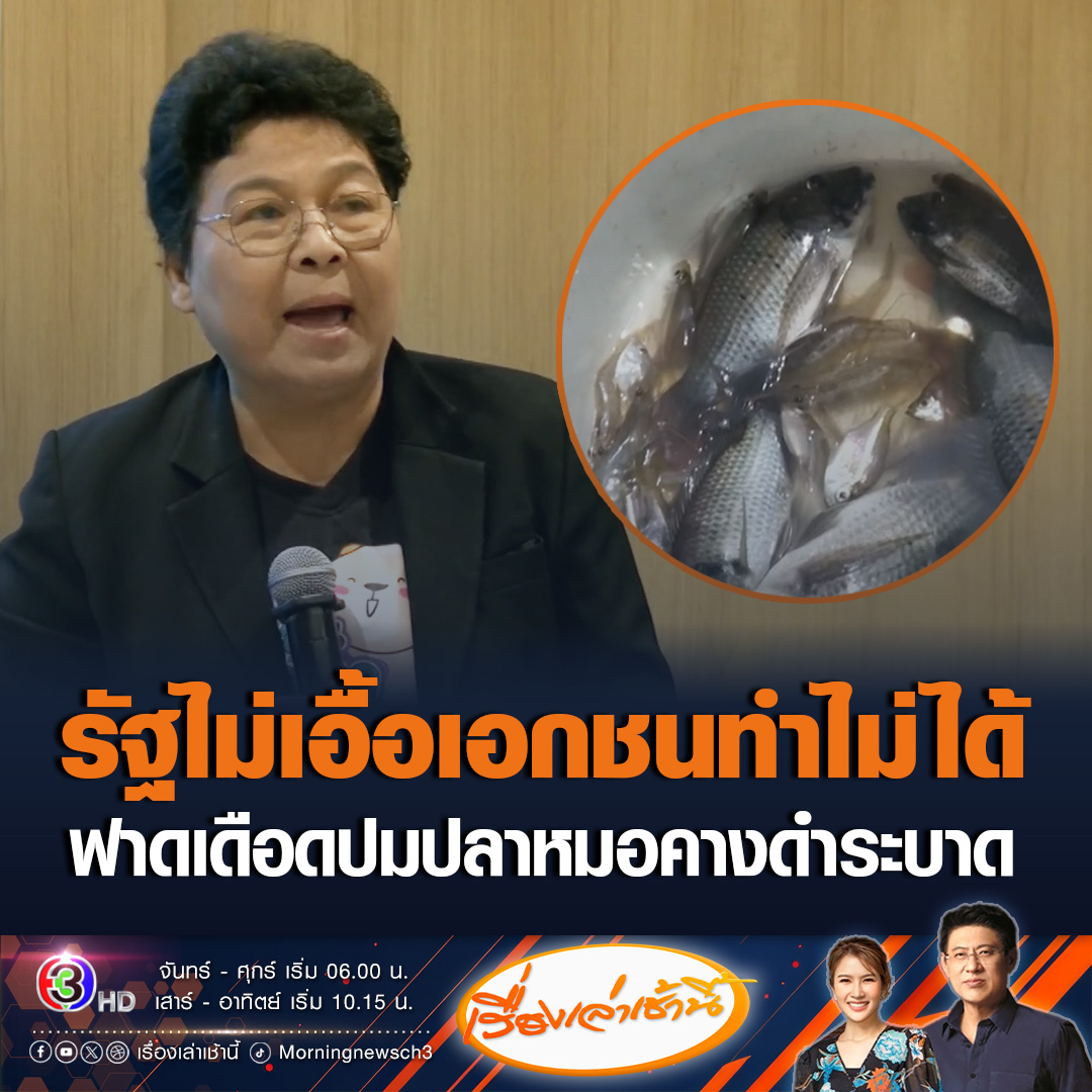 #เรื่องเล่าเช้านี้ “บุญยืน” ประธานสภาผู้บริโภค เดือด! บอกสาแก่ใจยิ่งนักปลาหมอคางดำ บุก กทม. คนบ้านนอกบอกไม่เชื่อ ลั่นไม่ชอบหน้ารัฐมนตรีก.เกษตร และอธิบดีกรมประมงต้องรับผิดชอบ รัฐไม่เอื้อ เอกชนทำร้ายประชาชนไม่ได้ รู้ปลากินได้ แต่มันไม่อร่อย #ข่าวช่อง3 #ข่าวสังคม #ปลาหมอคางดำ