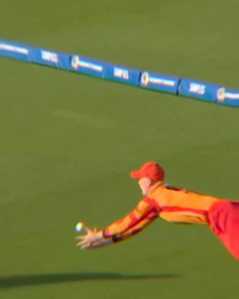 Cricketing athleticism at its finest 😲 👏 Dan Mousley