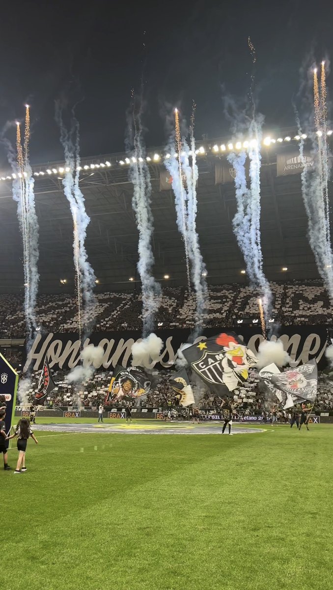 A MASSA SABE O QUE FAZ! 💥🐔💪🏼