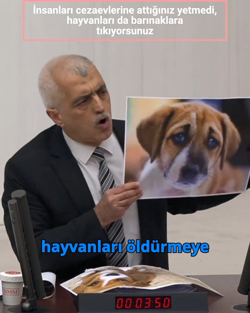 Şimdi, bakın, arkadaşlar, şu hayvanları öldürmeye niyetlendiniz sanırım. Şu hayvanlar, masum hayvanlar; onlar bize Allah'ın emaneti. Biz bu dünyayı yönetiyoruz ve onlar bize Allah'ın emaneti. Biz onları korumakla mükellefiz, onlar içgüdüleriyle davranıyorlar, suçlayamayız.