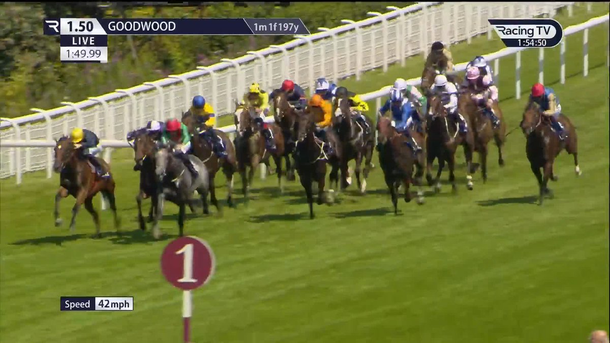 ♥️ 𝐓𝐚𝐤𝐞 𝐇𝐞𝐚𝐫𝐭 ♥️ Johnny Murtagh's grey (7-1) impressively reverses York Racecourse form with Enfjaar in the Coral Chesterfield Cup Handicap Goodwood Racecourse A second Goodwood Racecourse winner from just three rides for Ben Coen Team Valor 🟢🔴