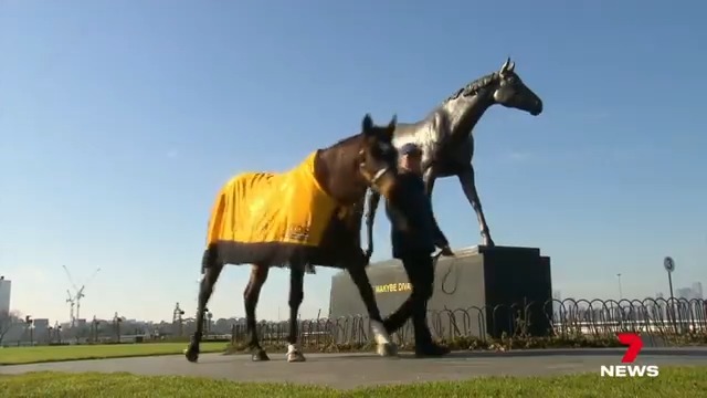 The queen of Flemington, Makybe Diva, returned to the track today to launch a new career. The triple Melbourne Cup winner is the face of a charity helping kids cope with trauma. NickMcCallum7 #7NEWS