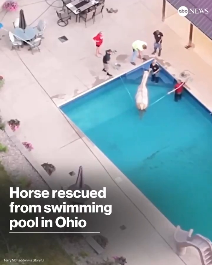 Drone footage captured the moment rescuers removed a horse that had managed to become stuck in a swimming pool in Dover, Ohio.