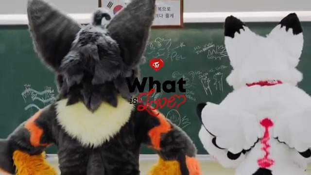 Twice의 What is love! 를 춰보았습니다! 🧡:DIR 🤍:ME 📸 : 단양 📸✂️ : Chuki #FursuitDance #Twice #what_is_love 4K 영상은 YouTube