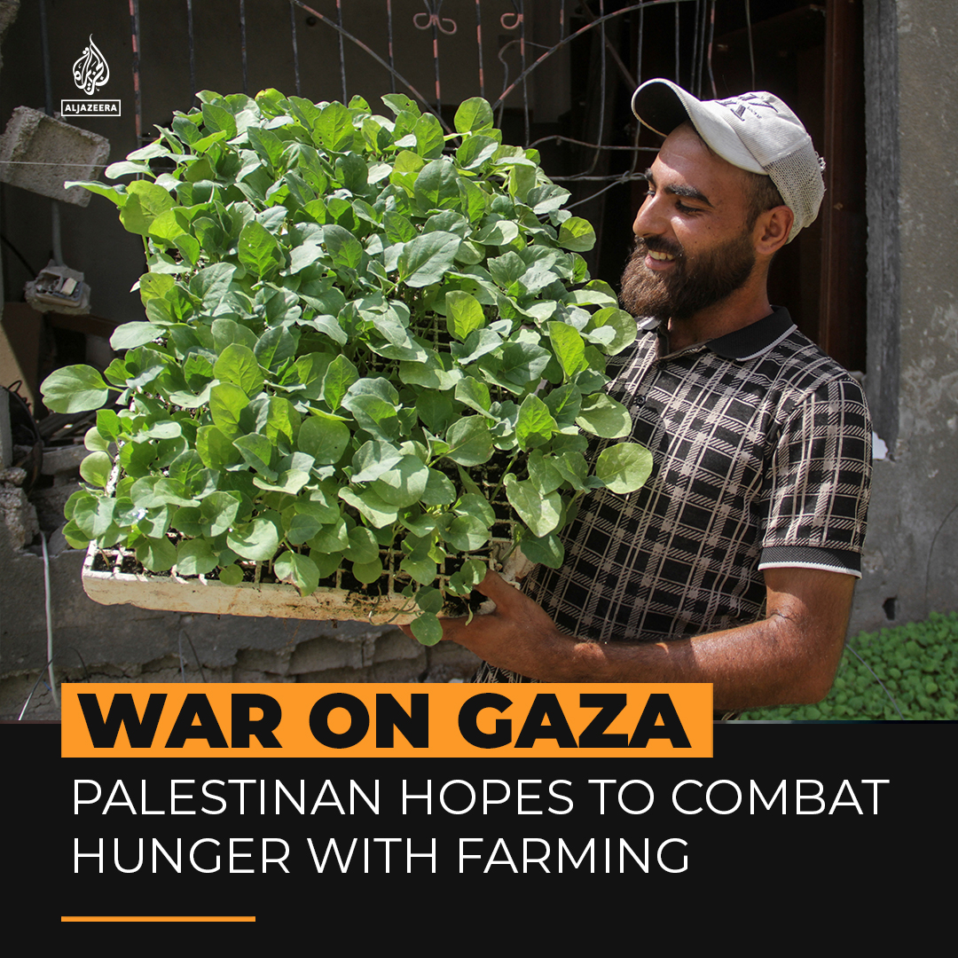 'This is my only hope.' 24-year-old Youssef Abu Rabie is reviving farming to combat food shortages and starvation caused by the prolonged Israeli war on Gaza.