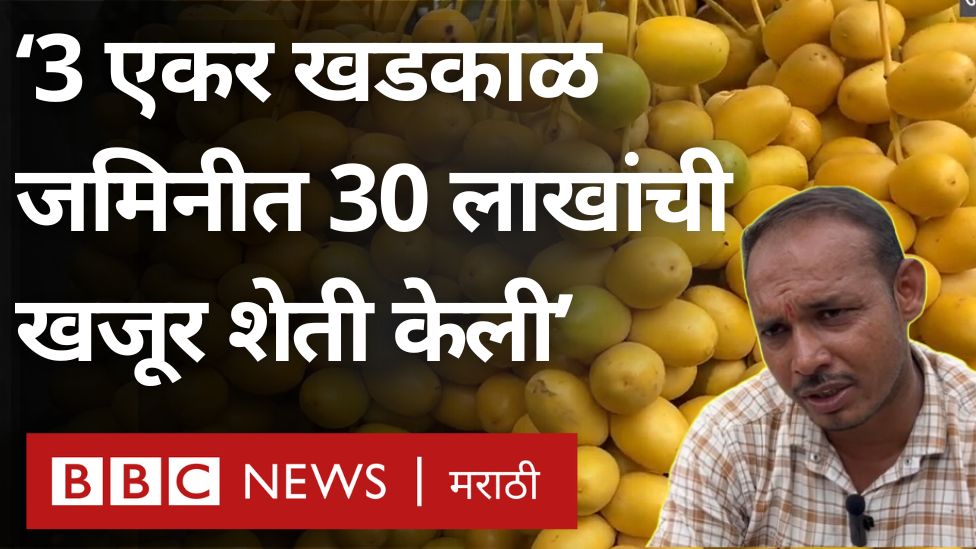 ‘3 एकर खडकाळ जमिनीत 30 लाखांची खजूर शेती केली’ - मराठवाड्यातल्या शेतकऱ्याची कमाल #farming #successstory #marathwada Shrikant Bangale | श्रीकांत बंगाळे Dhananjay Munde District Information Office, Jalna