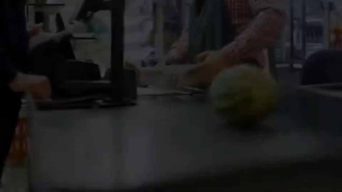 Make America Great Again, one of the Trump SuperPACs, is running a new series of 15 second digital ads on Google with no voiceover and text on screen. The footage and text on screen focuses on economy, immigration, and crime. Every ad ends with: “Courtesy of Kamala Harris.” “The sound of inflation. Courtesy of Kamala Harris.” “Travel anxiety. Courtesy of Kamala Harris.” “Higher taxes. Smaller paychecks. Courtesy of Kamala Harris.” “Coming to a border near you. Courtesy of Kamala Harris.” “The new normal. Courtesy of Kamala Harris.” For Kamala Harris ads and other Trump ads, scroll down my timeline. via Andrew Arenge