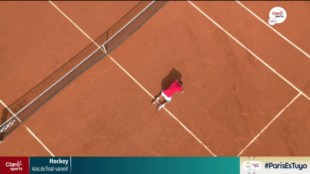 El match point de Novak Djokovic. El festejo. La emoción. Completó el tenis.