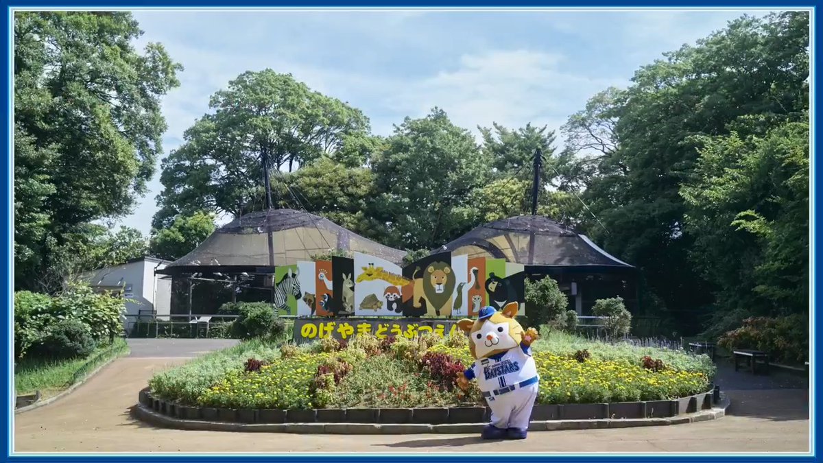 【DB.スターマンのI☆KANAGAWA散歩 in 横浜市西区】 神奈川に本拠地を移転して、今年で70年目を迎えたベイスターズ🏟️ 同じく今年区制80周年を迎えた横浜市西区に、#スターマン がおじゃましました🐹✨ #スターマンがおじゃましました #ありがとう神奈川 #神奈川移転70年 #baystars