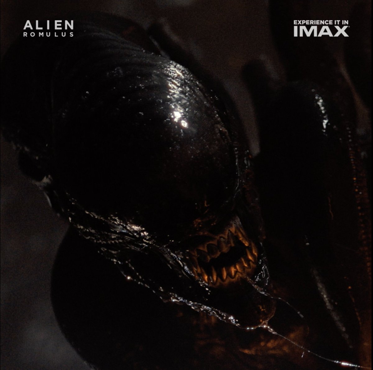 In 10 days, the hunt is on. Get tickets now and experience the terror of #AlienRomulus in IMAX theaters August 16: