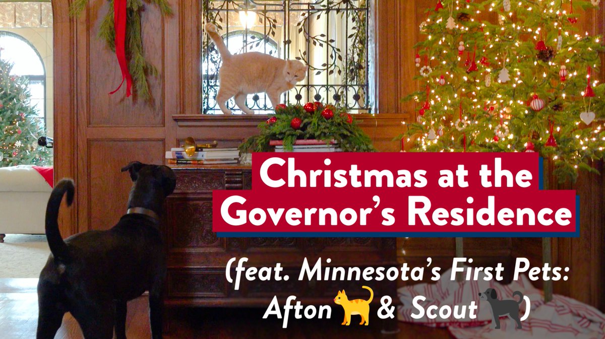 So Tim Walz has happy, loved, well cared for pets.🐶😸 Things he hasn't done: - shot a young dog because he failed to contain the dog and it killed a neighbor's chicken - abandoned a dead bear cub in a park, costing the city thousands in taxpayer funds