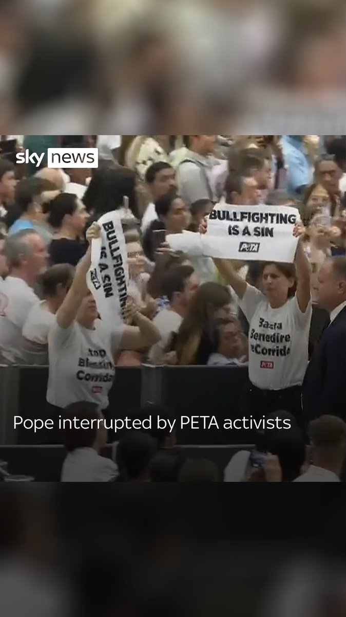 Two animal welfare activists from PETA interrupted Pope Francis' general audience in Vatican City as they called for an end to bullfighting.