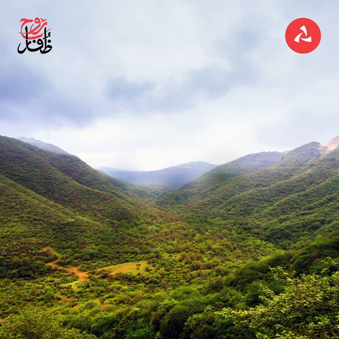 🎁✈🧳 منشن رفيق السفر أسفل التغريدة واحصل على فرصة الفوز برحلة إلى ظفار 🌴! تطبق الشروط والأحكام. #بنك_مسقط