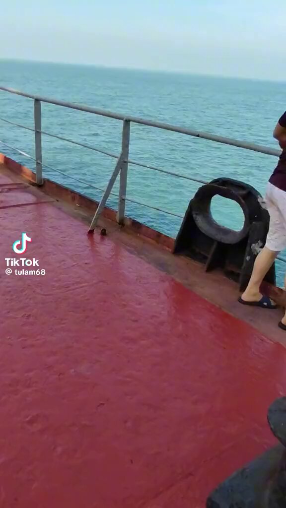 Aslında bir dünya adamız şurada 3 tane kayık alıp somali açıklarında korsanlık yapabiliriz.. senede 2 tane gemi soysak yeter be kardesm.. turkish pirates 🏴‍☠️