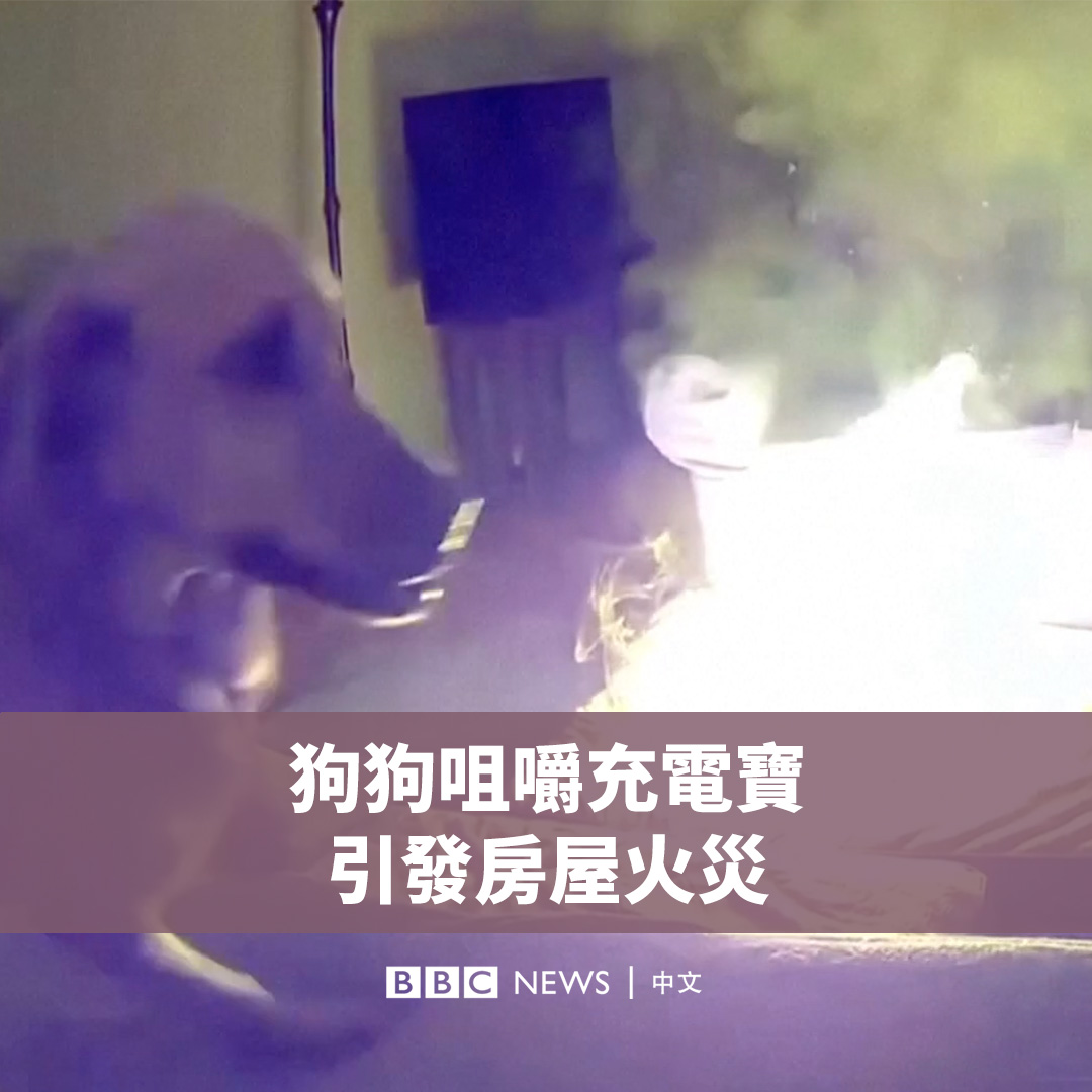 当你外出时，小心家里的“毛孩子”……🐶 监控画面显示，美国俄克拉荷马州的一只狗在咀嚼充电宝（行动电源）后，无意中引发了一场火灾。