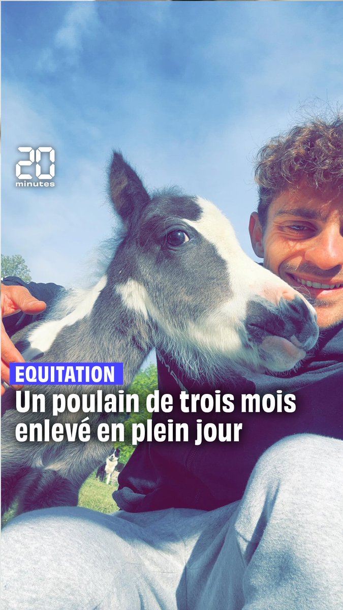 Rémi Giraud a dénoncé sur Instagram, le vol de son jeune poulain de trois mois en pleine journée! Il souhaite mobiliser internet pour retrouver Oompa-Loompa!