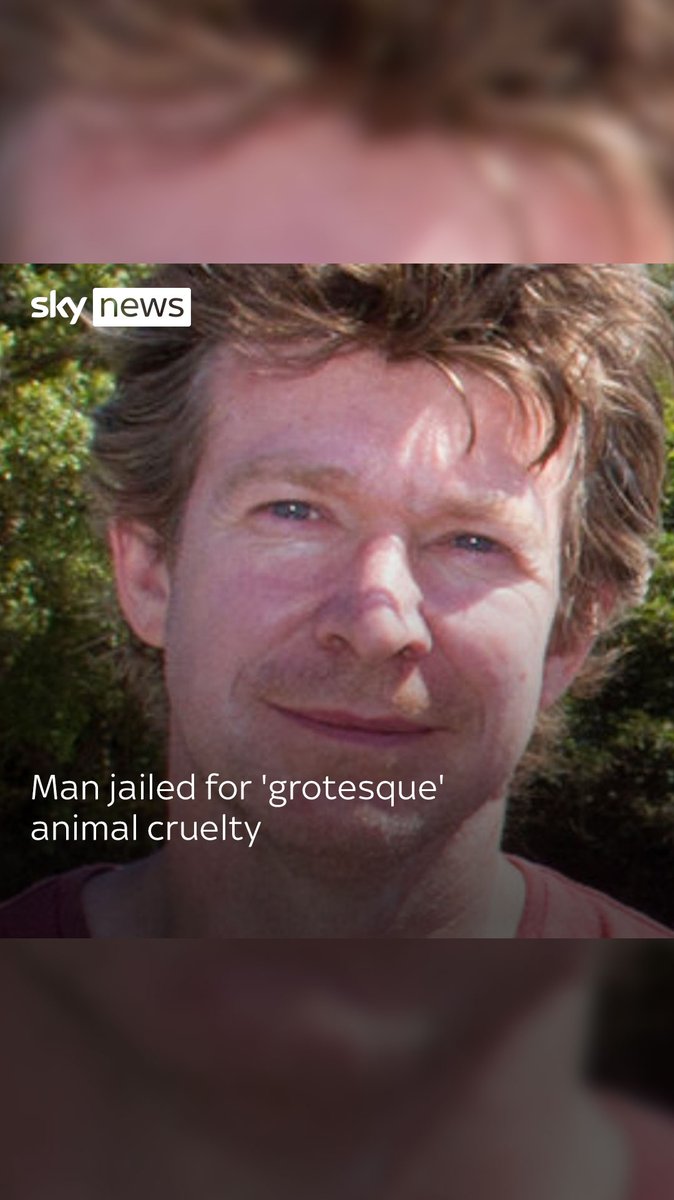 Crocodile expert Adam Britton jailed for torturing dogs. Adam Britton pled guilty to 56 offences related to torturing and sexually abusing more than 42 dogs. Read more: