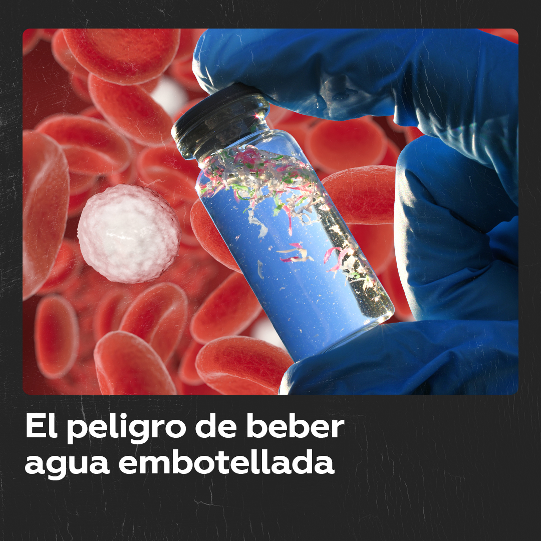 ¿Por qué es peligroso beber agua embotellada? Un nuevo estudio advierte que consumir agua de botellas de plástico y vidrio puede introducir microplásticos en la sangre, elevando el riesgo de hipertensión arterial.