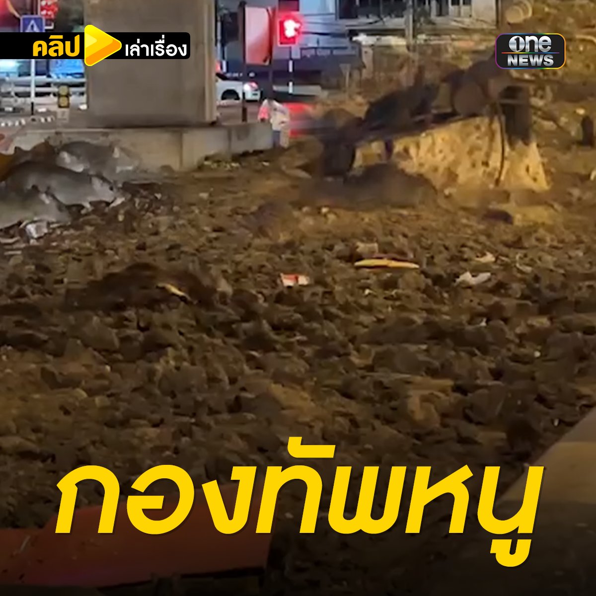 ขนลุก! หนูนับร้อยยึดใต้สะพาน หวั่นเชื้อโรค #คลิปเล่าเรื่อง