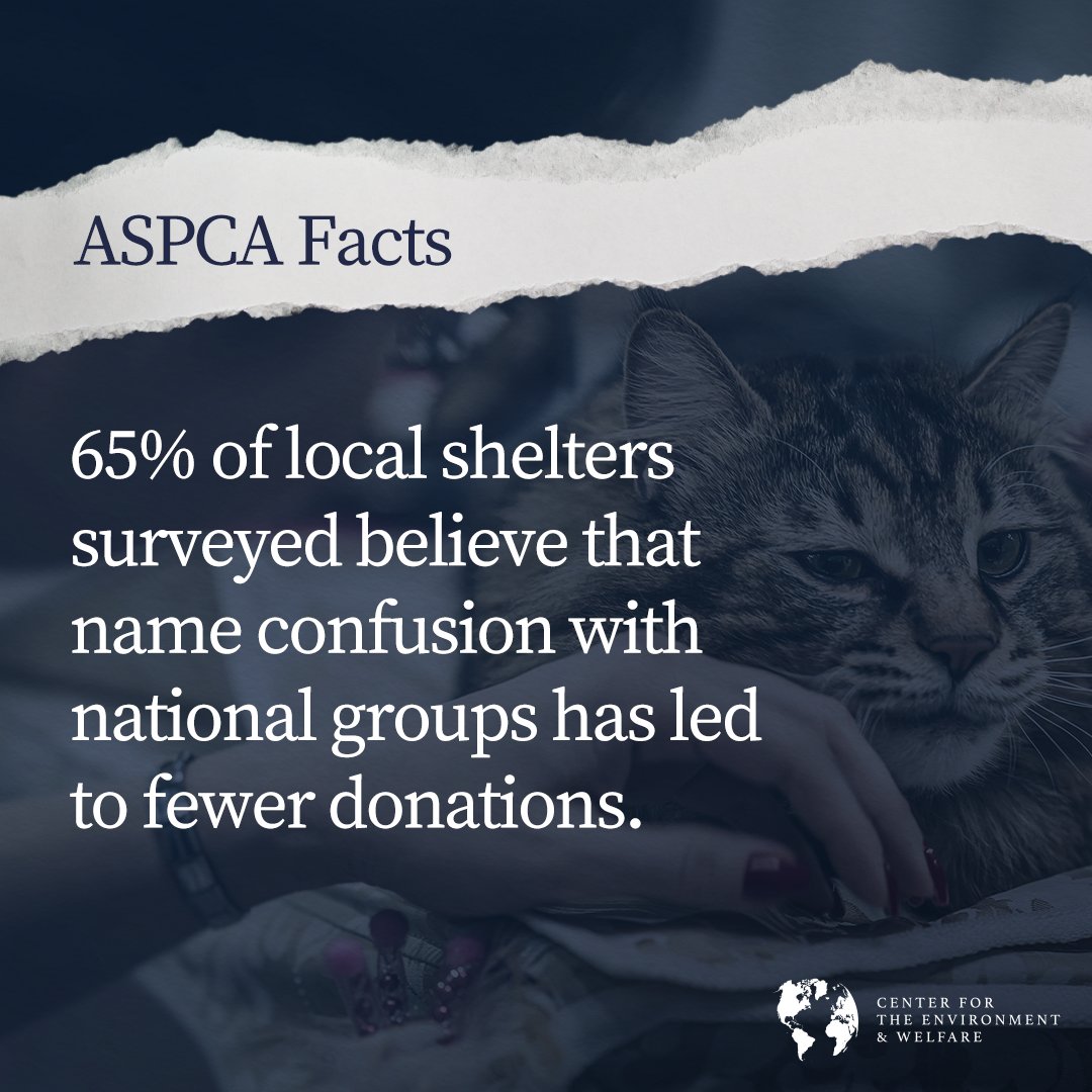 Major non-profit leaders have recently been in the news for sky-high salaries and wasteful spending. Here are 10 things you should know about the ASPCA.