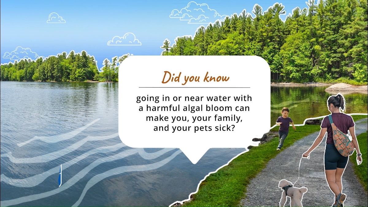 Headed to a lake, river, or beach? Look out for harmful algal blooms, which can make you sick and be deadly for pets. Stay safe by staying out of water if it: - Has a swimming advisory - Looks or smells bad Bookmark this video and share it with your loved ones.
