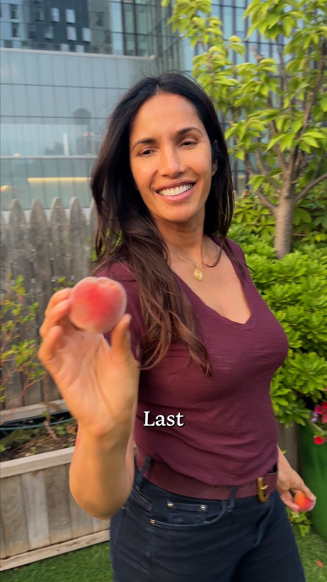 POV: you visit me on a beautiful summer evening and I can't stop talking about my peaches. I love my peaches!! 🍑