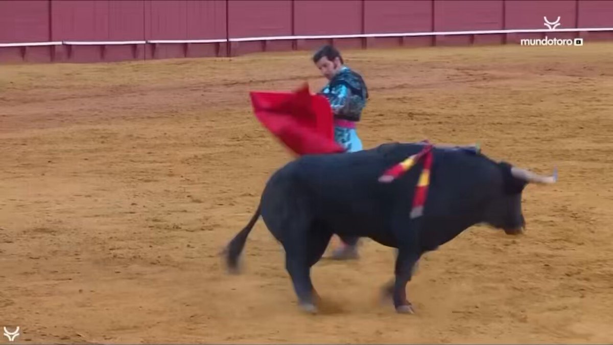 Yo todavía sigo en este día, que grande eres Morante.