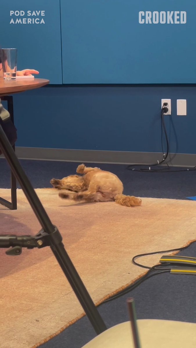 60 seconds of Pundit Watch more Pod Save America on YouTube! #PodSaveAmerica #CrookedMedia #Pundit #Dog