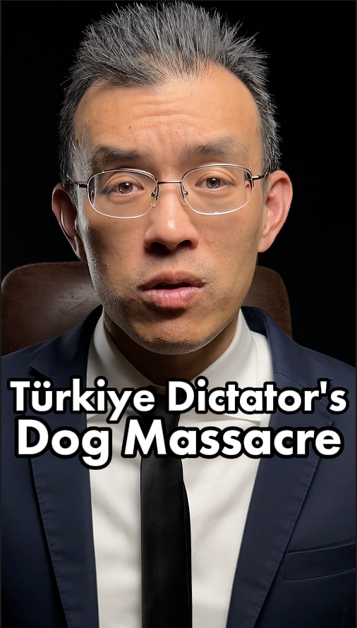 The Turkish dictator, Recep Erdogan, is threatening to kill 4 million dogs in a bizarre attempt to crush his political opposition. #Türkiye #Dogs #Cats
