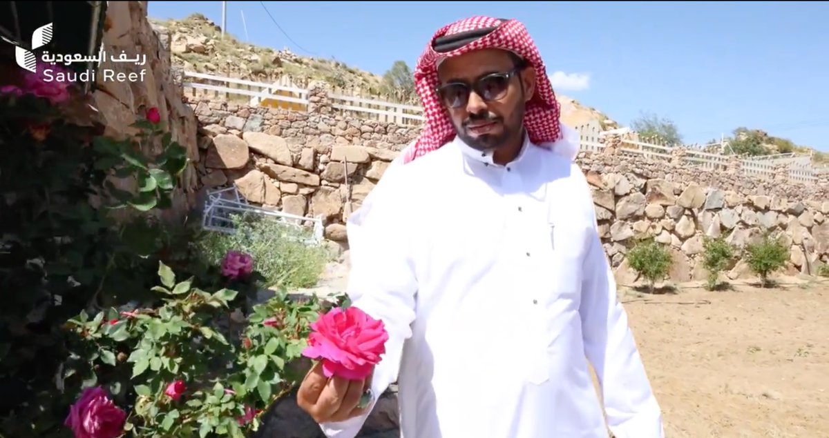 "الحمدلله زرعنا وصرنا نأخذ من إنتاجنا وما نشتري من الخارج" المزارع "إبراهيم السفياني" يروي قصته مع مزرعة الورد الطائفي، الذي طور من إنتاجها، مستفيدًا من الدعم الحكومي المقدم له #عطاء_ونماء
