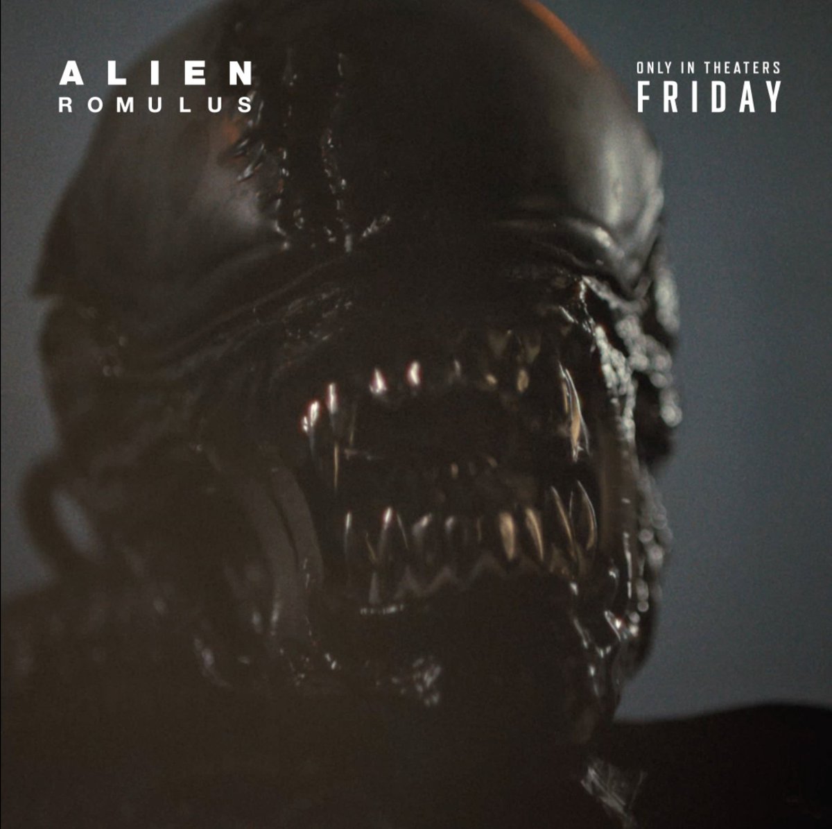 This Friday, experience #AlienRomulus on the big screen in IMAX. Get tickets now: