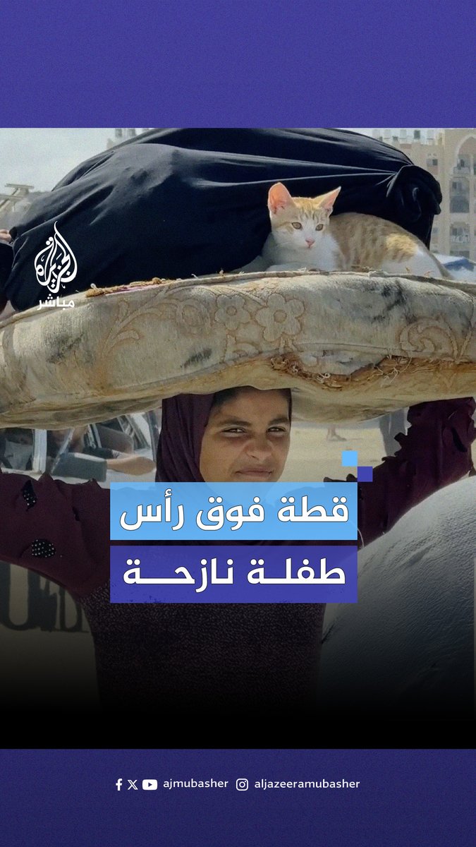 تحمل قطتها فوق رأسها.. طفلة تنزح قسرًا من مدينة حمد في خان ينوس #الجزيرة_مباشر | #غزة