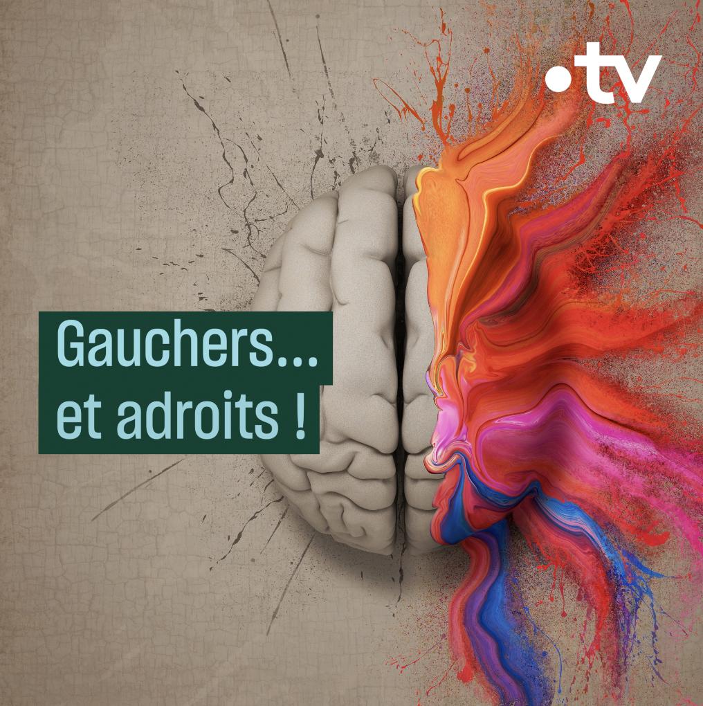 C'est la journée internationale des gauchers ! Et vous, faites-vous partie de cette minorité exceptionnelle ? #CulturePrime