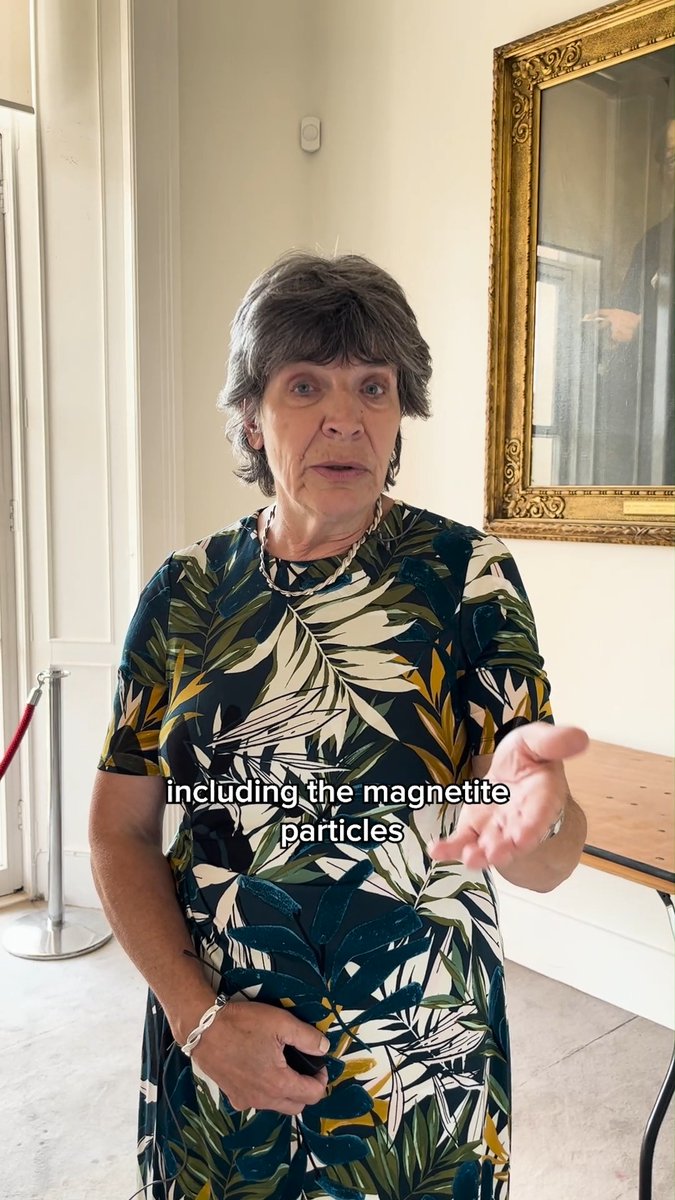 As we continue to meet some of our newest Fellows, Professor Barbara Maher FRS tells us about her research on the magnetic particles in the environment caused by pollution, and how they're affecting human health: