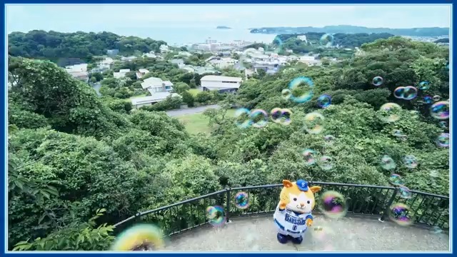【DB.スターマンのI☆KANAGAWA散歩 in 逗子市】 神奈川に本拠地を移転して、今年で70年目を迎えたベイスターズ⭐️ 同じく今年市制70周年を迎えた逗子市に、#スターマン がおじゃましました🐹🫧 #スターマンがおじゃましました #ありがとう神奈川 #神奈川移転70年 #baystars