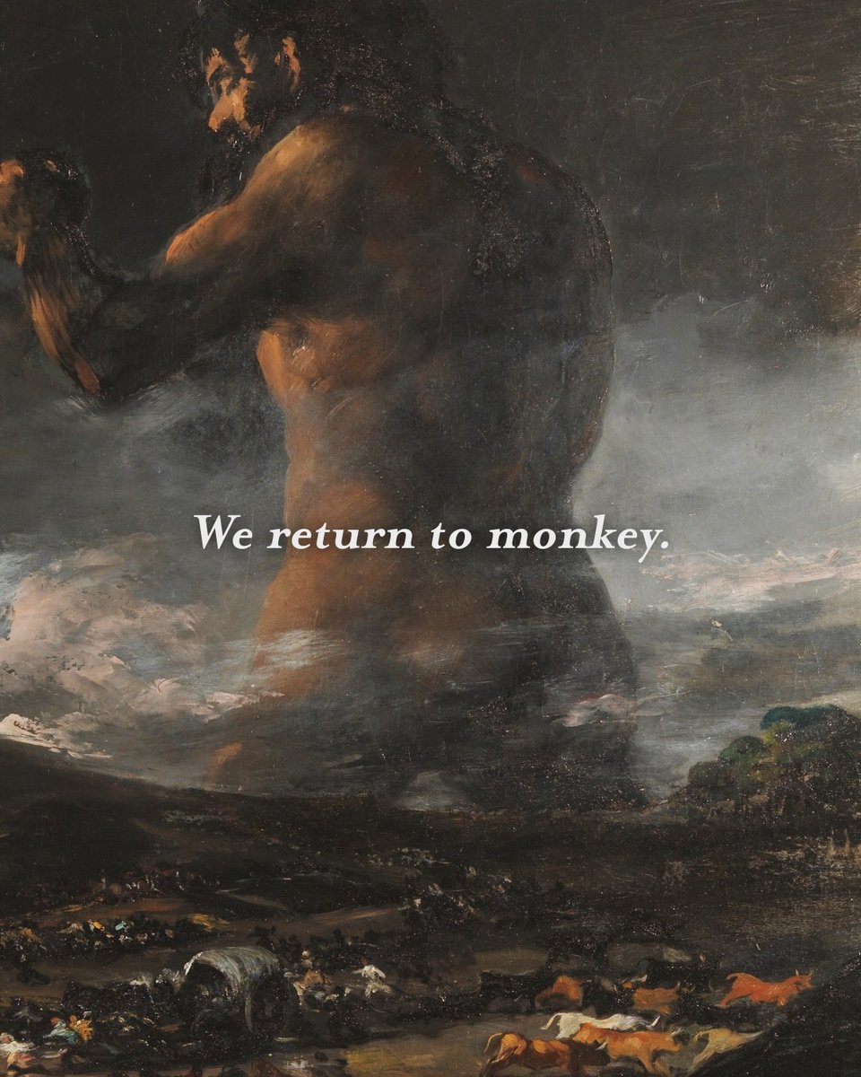 Embrace your monkey #adultswim