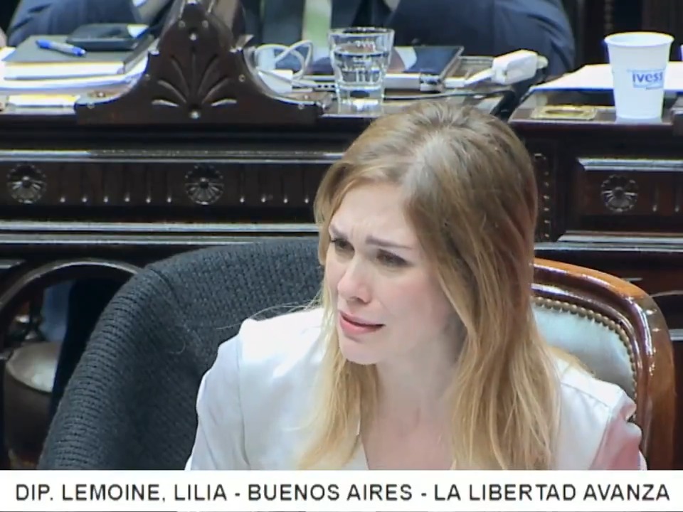 "Lilia": Por la intervención de Lilia Lemoine durante el debate en la Cámara de Diputados sobre la ampliación del Registro de Datos Genéticos