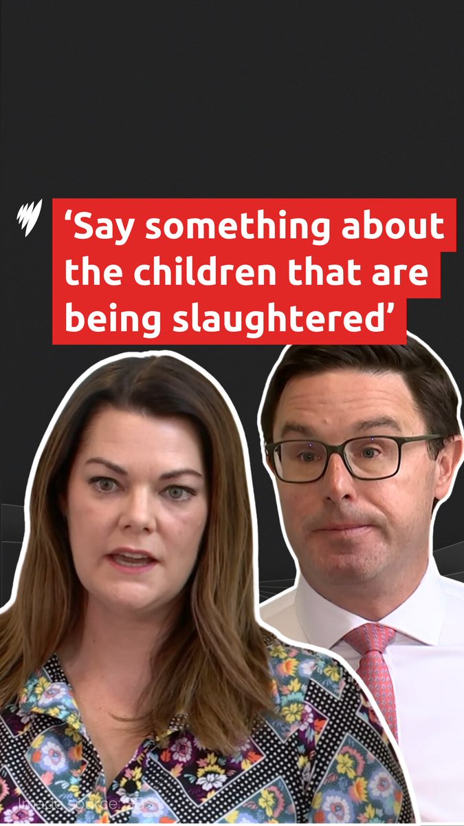 Nationals leader David Littleproud was interrupted by Greens senator Sarah Hanson-Young while defending the Coalition's calls to halt Palestinians fleeing Gaza from entering Australia. Read more: