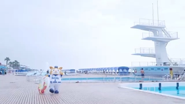 【DB.スターマンのI☆KANAGAWA散歩 in 大磯町】 神奈川に本拠地を移転して、今年で70年目を迎えたベイスターズ🏟️ 同じく今年合併70周年を迎える大磯町に、#スターマン がおじゃましました🐹🛟 #スターマンがおじゃましました #ありがとう神奈川 #神奈川移転70年 #baystars