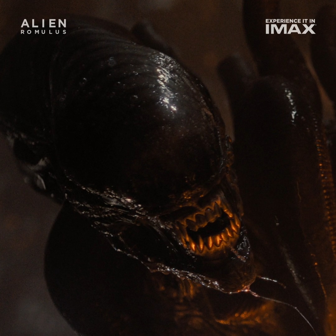 Nothing can prepare you for the terror of Alien: Romulus. Get tickets now and see it in IMAX theaters this Friday!