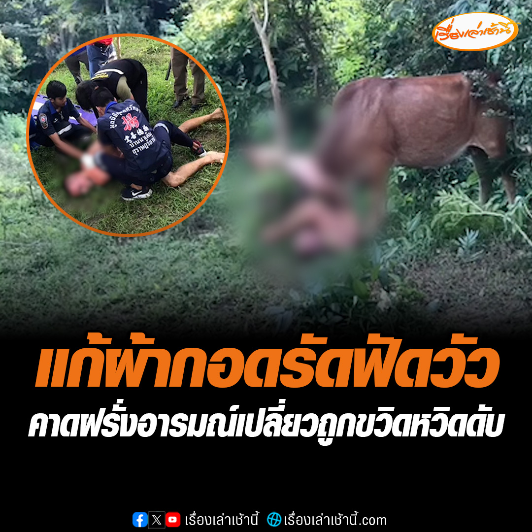 แก้ผ้ากอดรัดฟัดวัว คาดฝรั่งอารมณ์เปลี่ยวถูกขวิดหวิดดับ ชายต่างชาติคลั่ง แก้ผ้ากอดรัดฟัดเหวี่ยงวัวชาวบ้านในป่าละเมาะ ถูกเหวี่ยงหล่นแต่ไม่ยอมหยุด จับเขาวัวแน่นก่อนถูกขวิดหวิดดับ โชคดี จนท. ช่วยทัน คาดเกิดจากอารมณ์เปลี่ยว #เรื่องเล่าเช้านี้ #ข่าวช่อง3 #ฝรั่งแก้ผ้าฟัดวัว