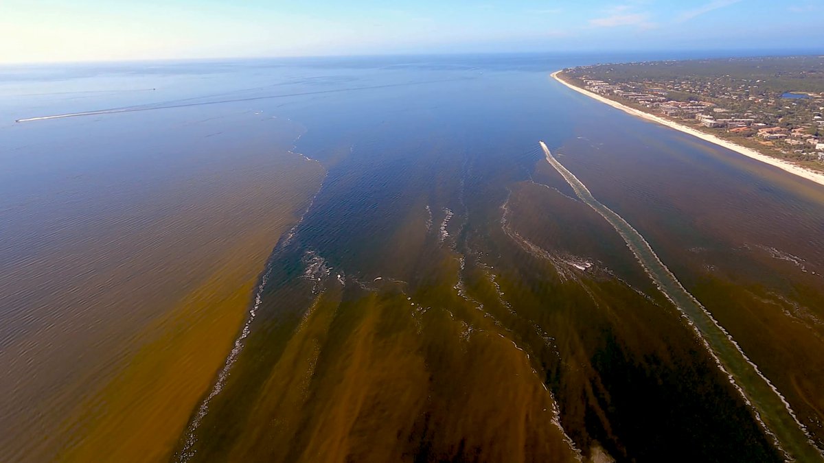 How is a satellite in space helping scientists study—and protect—Earth's changing seas? Watch "An Ocean In Bloom," now streaming on your computer, phone, or TV through NASA+: