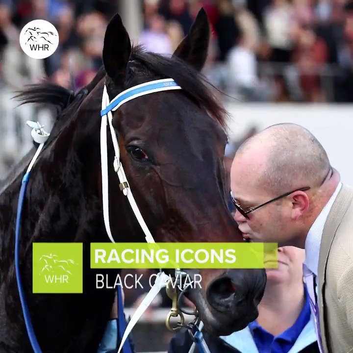 Never forgotten… Farewell to the one and only BLACK CAVIAR 🖤